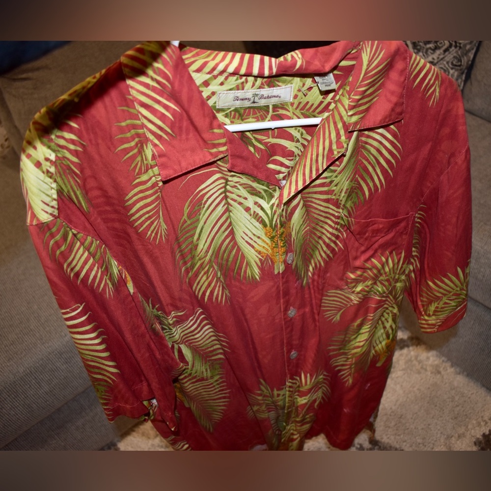 TB button down